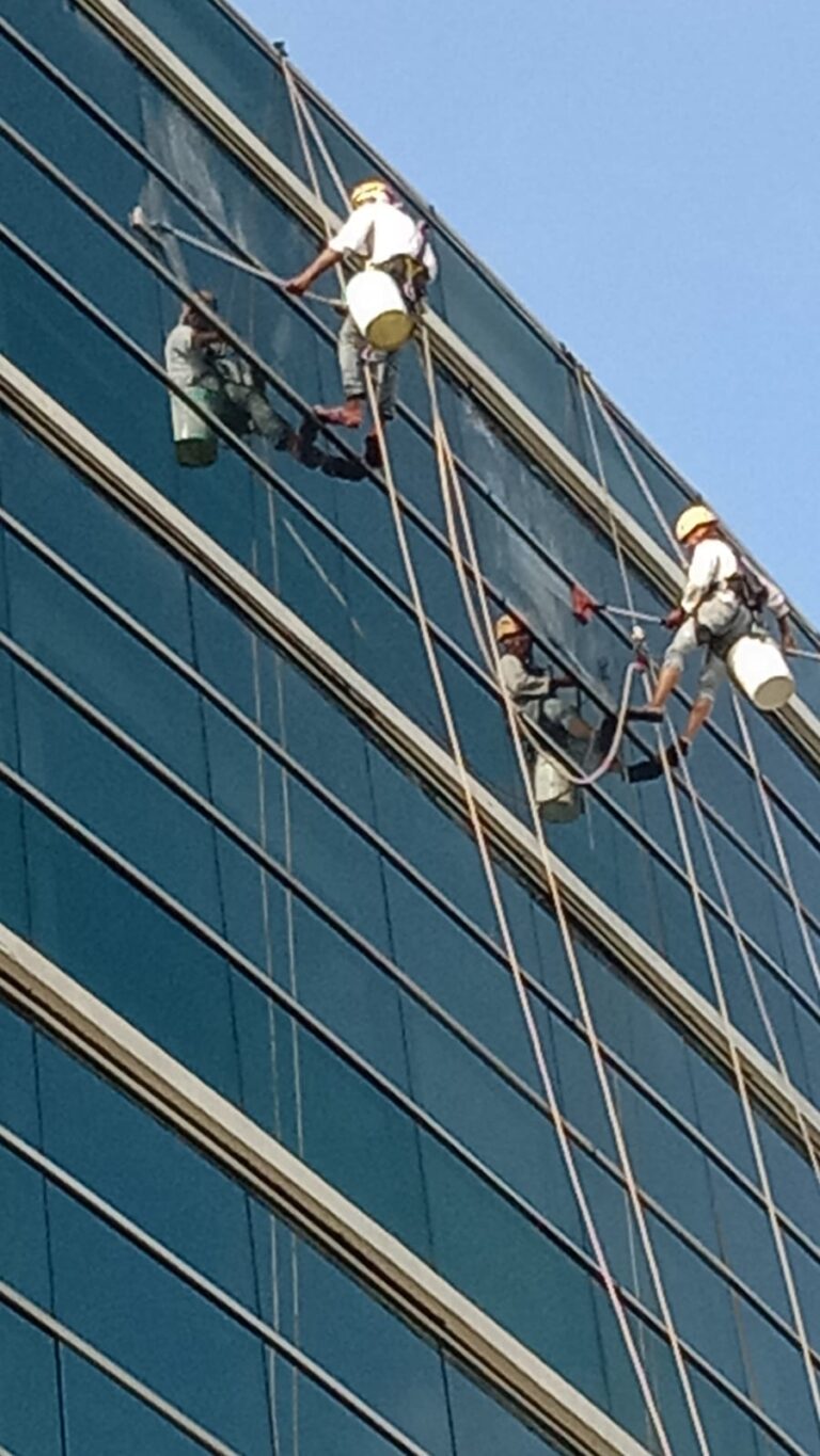 Facade Cleaning